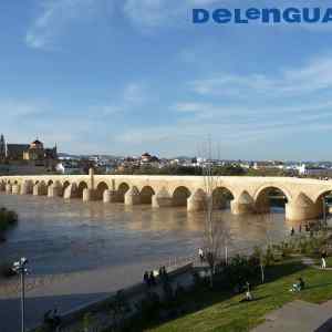 CORDOBA 3