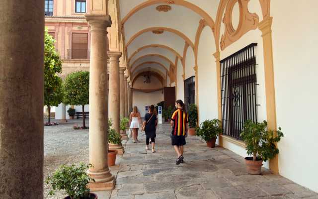 Guided tour with Delengua