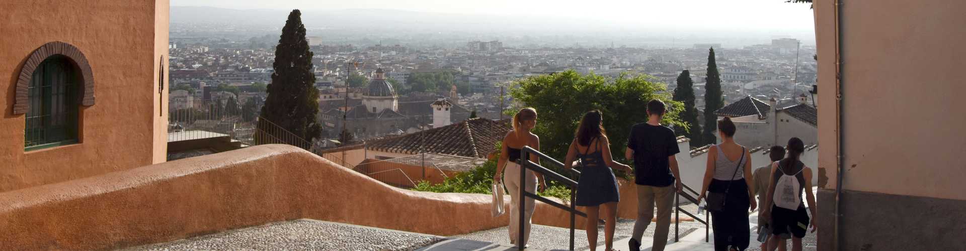 Delengua tour in Granada